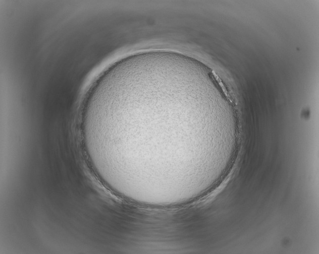 X0000116881502201002021137