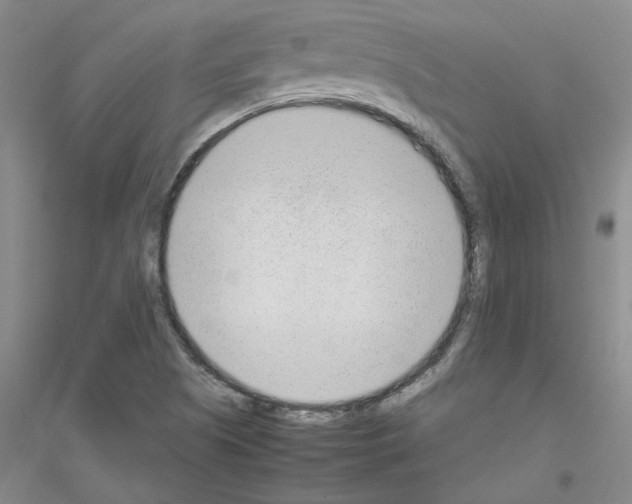 X0000116881505201002021137