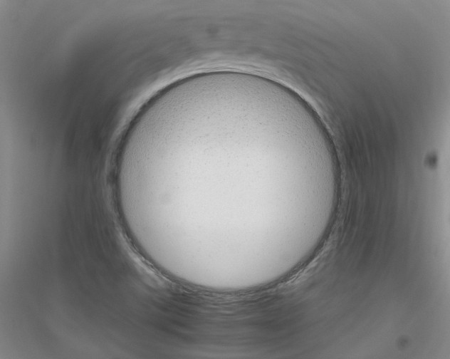 X0000116881507201002021137
