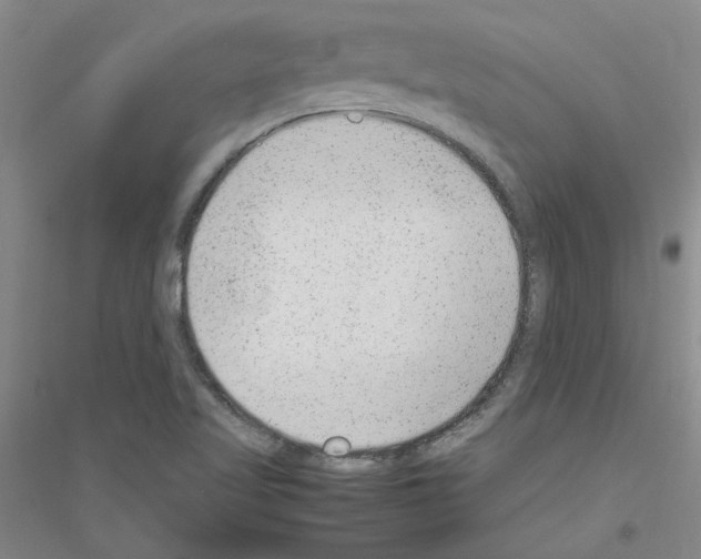 X0000116881509201002021137