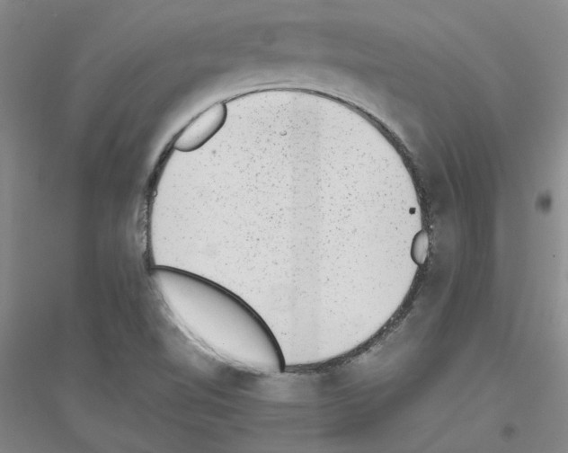 X0000116881510201002021137