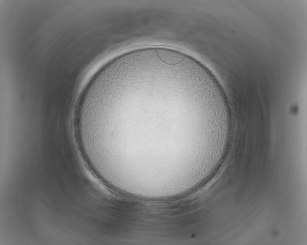 X0000116881511201002021137