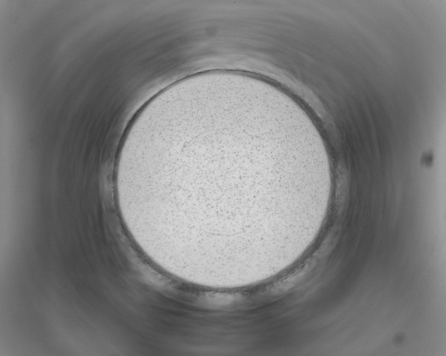 X0000116881513201002021137