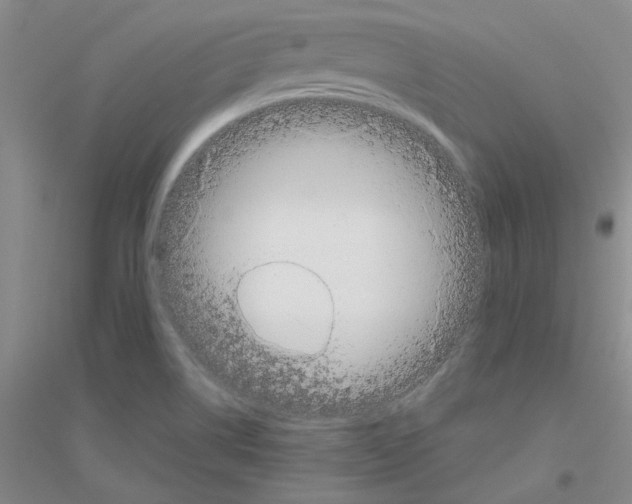 X0000116881514201002021137