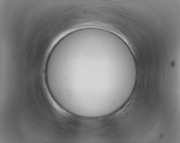 X0000116881523201002021137