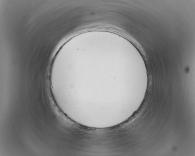 X0000116881530201002021137