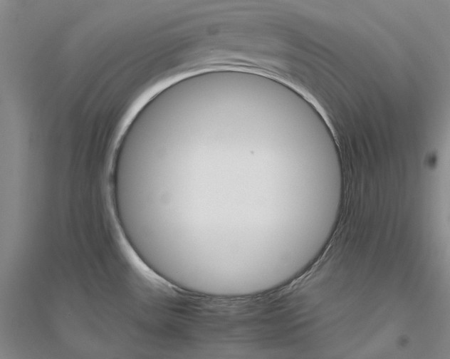 X0000116881531201002021137