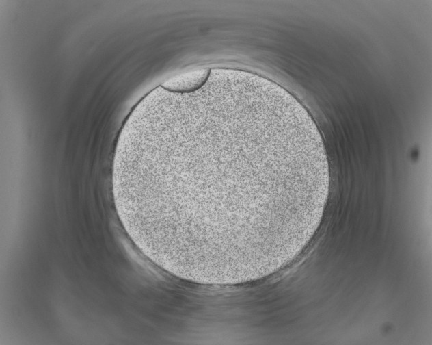 X0000116881534201002021137