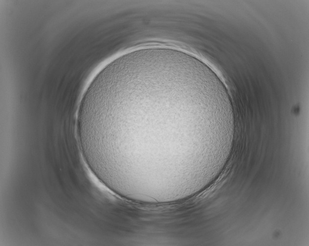 X0000116881535201002021138