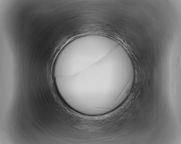 X0000116890002200912221013