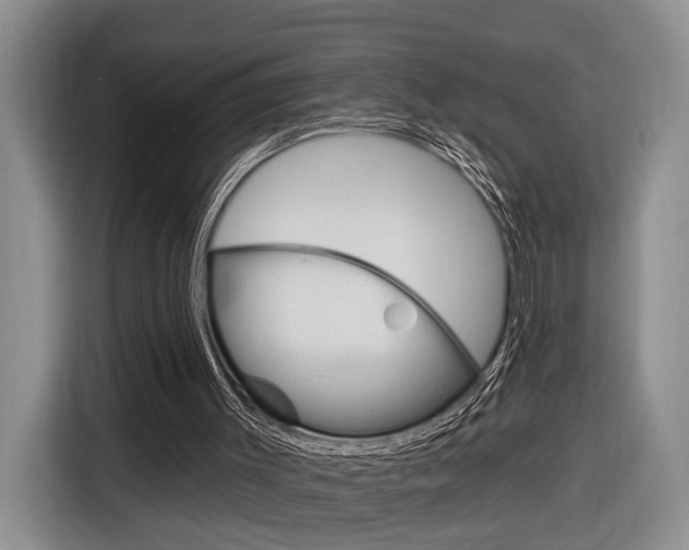 X0000116890003200912221013