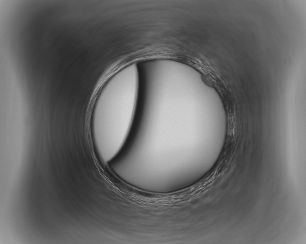 X0000116890004200912221013
