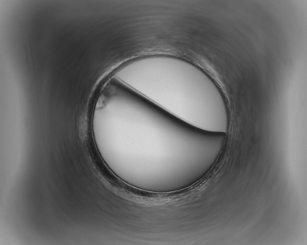 X0000116890012200912221013