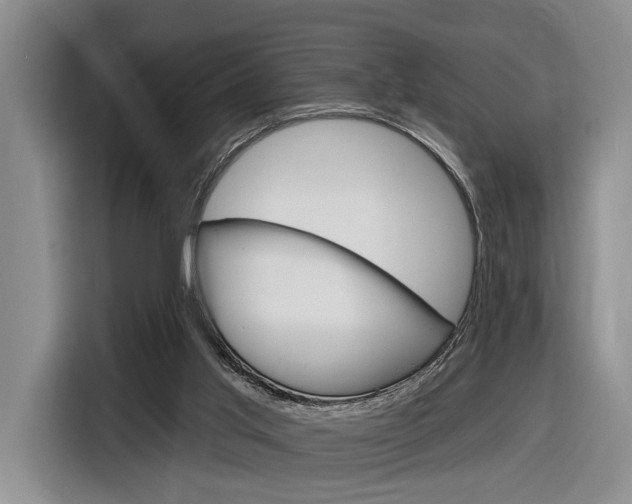 X0000116890013200912221013