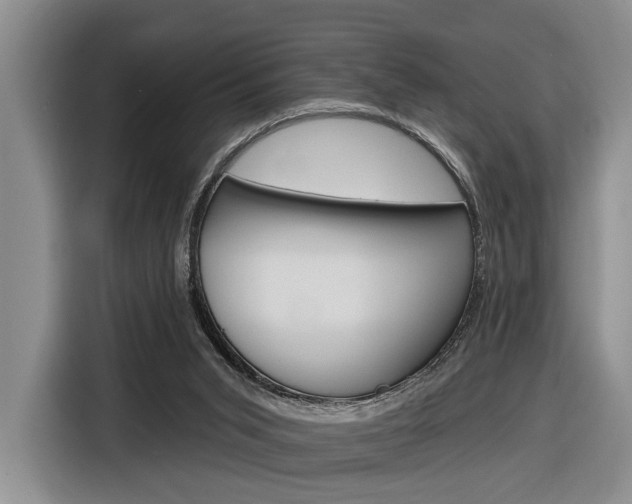 X0000116890015200912221013