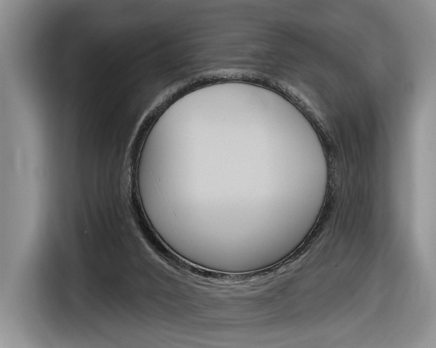 X0000116890016200912221013
