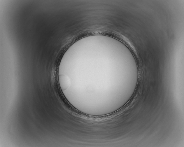 X0000116890018200912221013