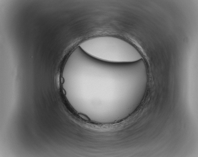 X0000116890019200912221013