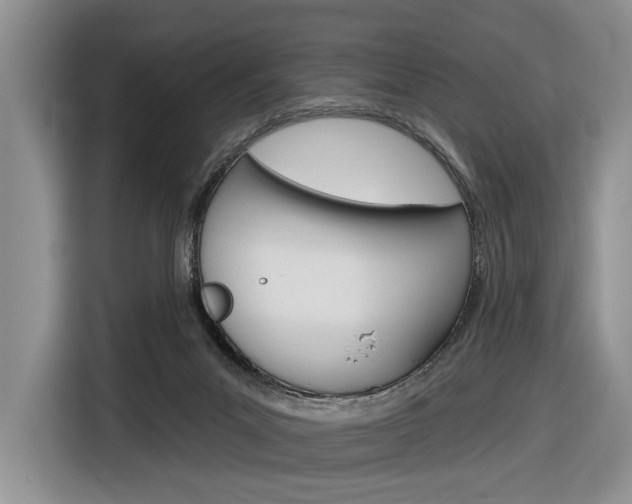 X0000116890023200912221013