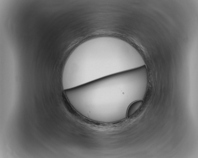 X0000116890024200912221013