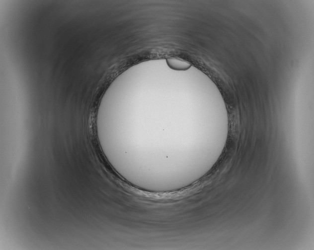 X0000116890038200912221013