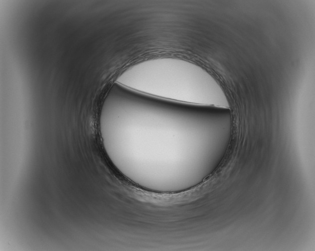 X0000116890039200912221013