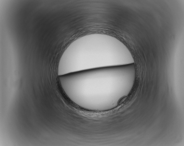 X0000116890040200912221013