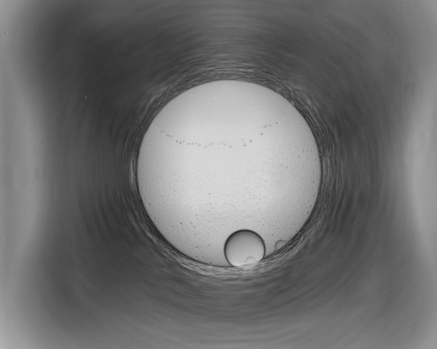 X0000116890042200912221013