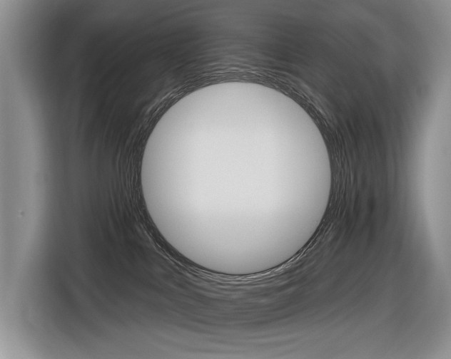 X0000116890043200912221013