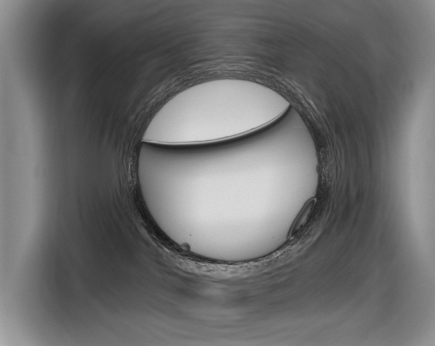 X0000116890044200912221013