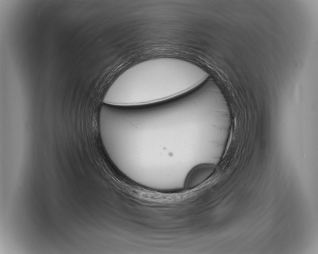 X0000116890048200912221013