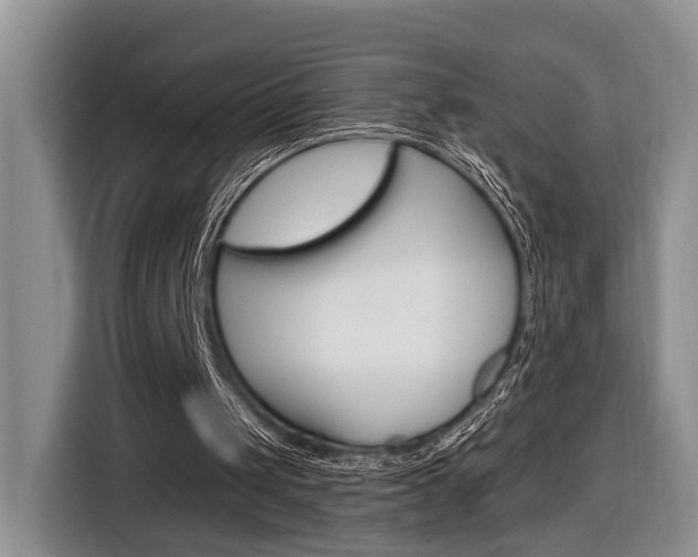 X0000116890049200912221012
