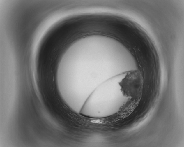 X0000116890050200912221012