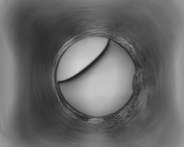 X0000116890051200912221012