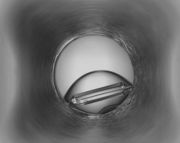 X0000116890052200912221012