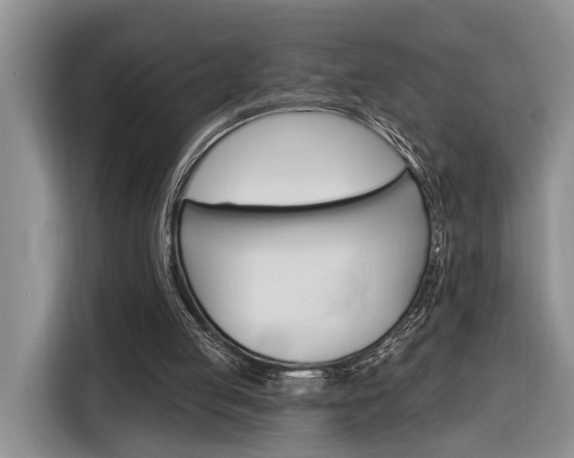 X0000116890053200912221012