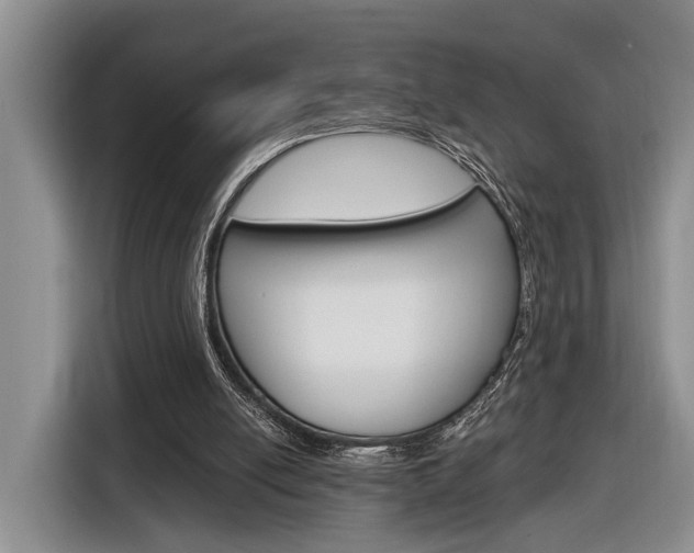 X0000116890054200912221012