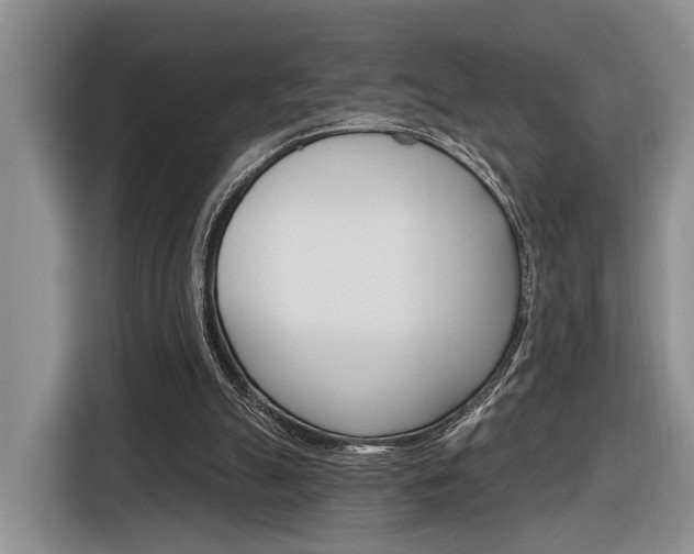 X0000116890055200912221012
