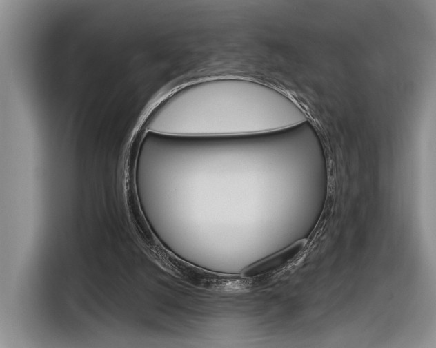 X0000116890056200912221012