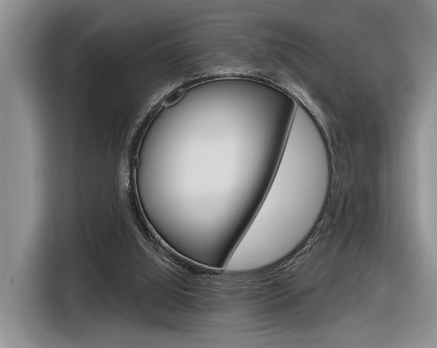 X0000116890060200912221012