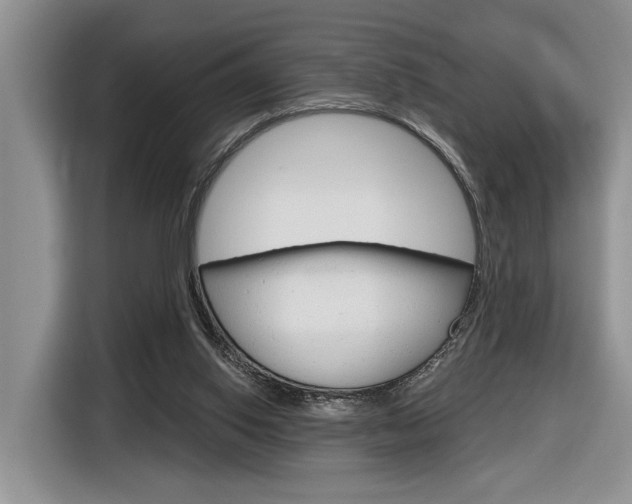 X0000116890062200912221012