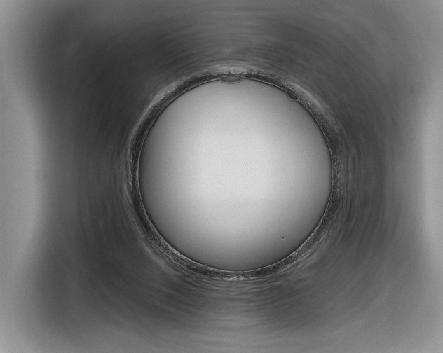 X0000116890064200912221012