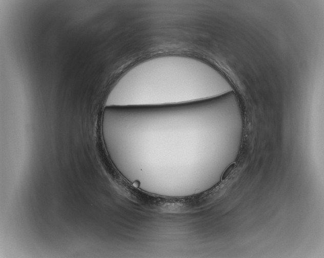 X0000116890066200912221012