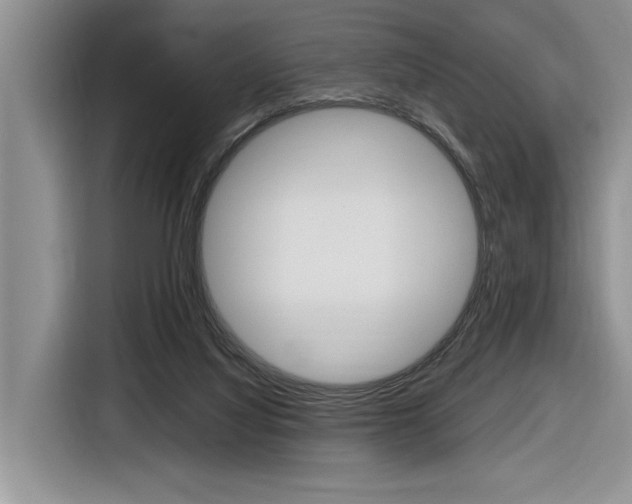 X0000116890068200912221012
