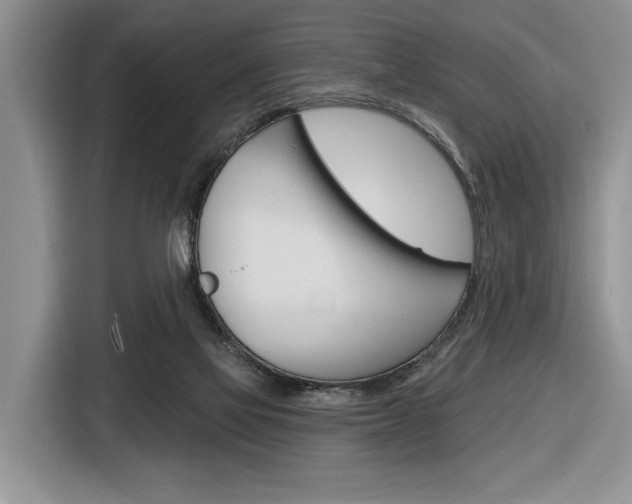 X0000116890069200912221012