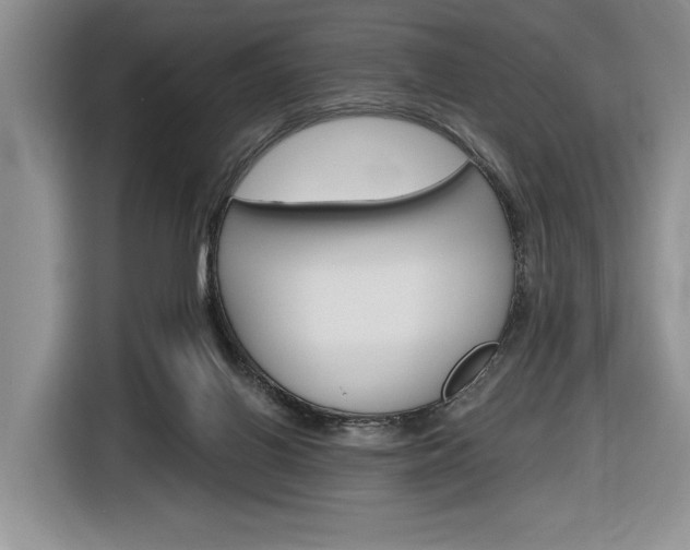 X0000116890070200912221012