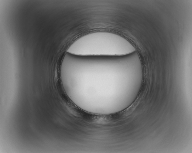 X0000116890074200912221012