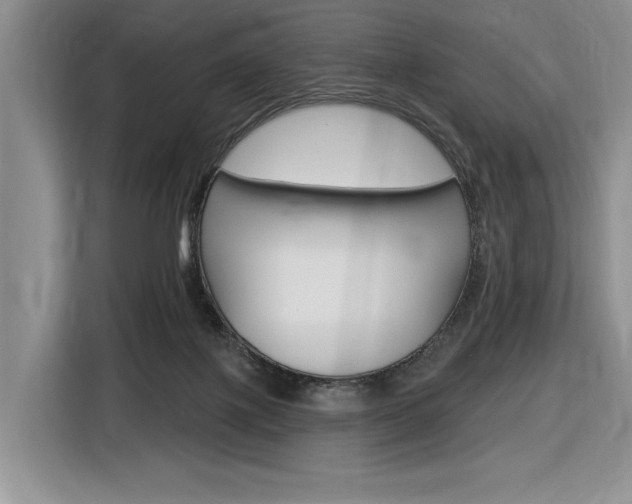 X0000116890075200912221012