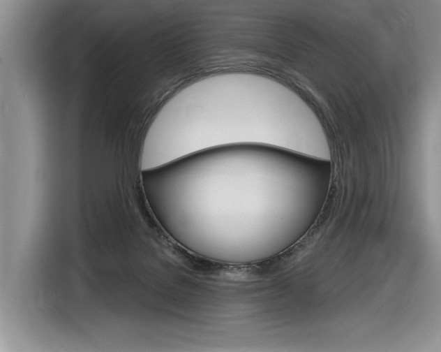 X0000116890076200912221012