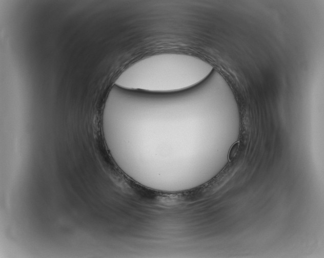 X0000116890079200912221012
